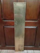 Brass push door plate {H 65cm x W 18cm }.