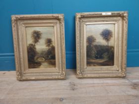 Pair of 19th C. oil on canvas Woodland Scenes mounted in gilt frames. {45 cm H x 34 cm W}.