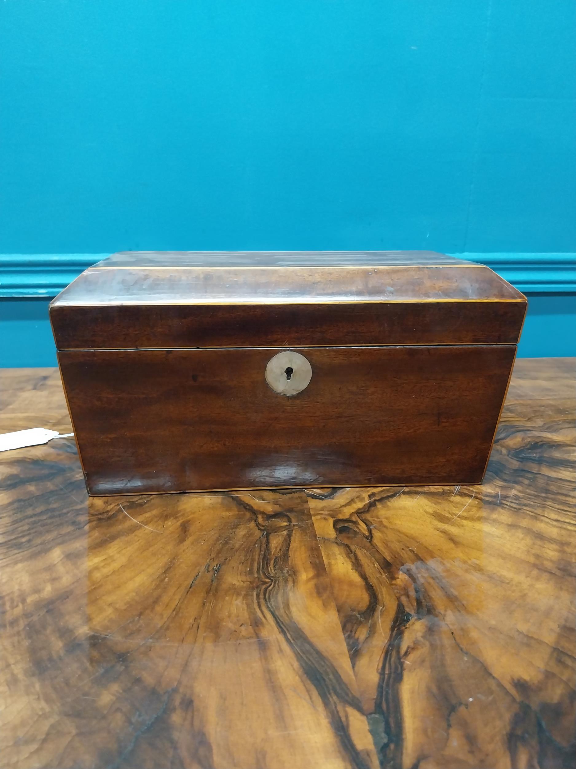 19th C. mahogany and satinwood tea caddy with lion's mask handles. {16 cm H x 31 cm W X 16 cm D}.