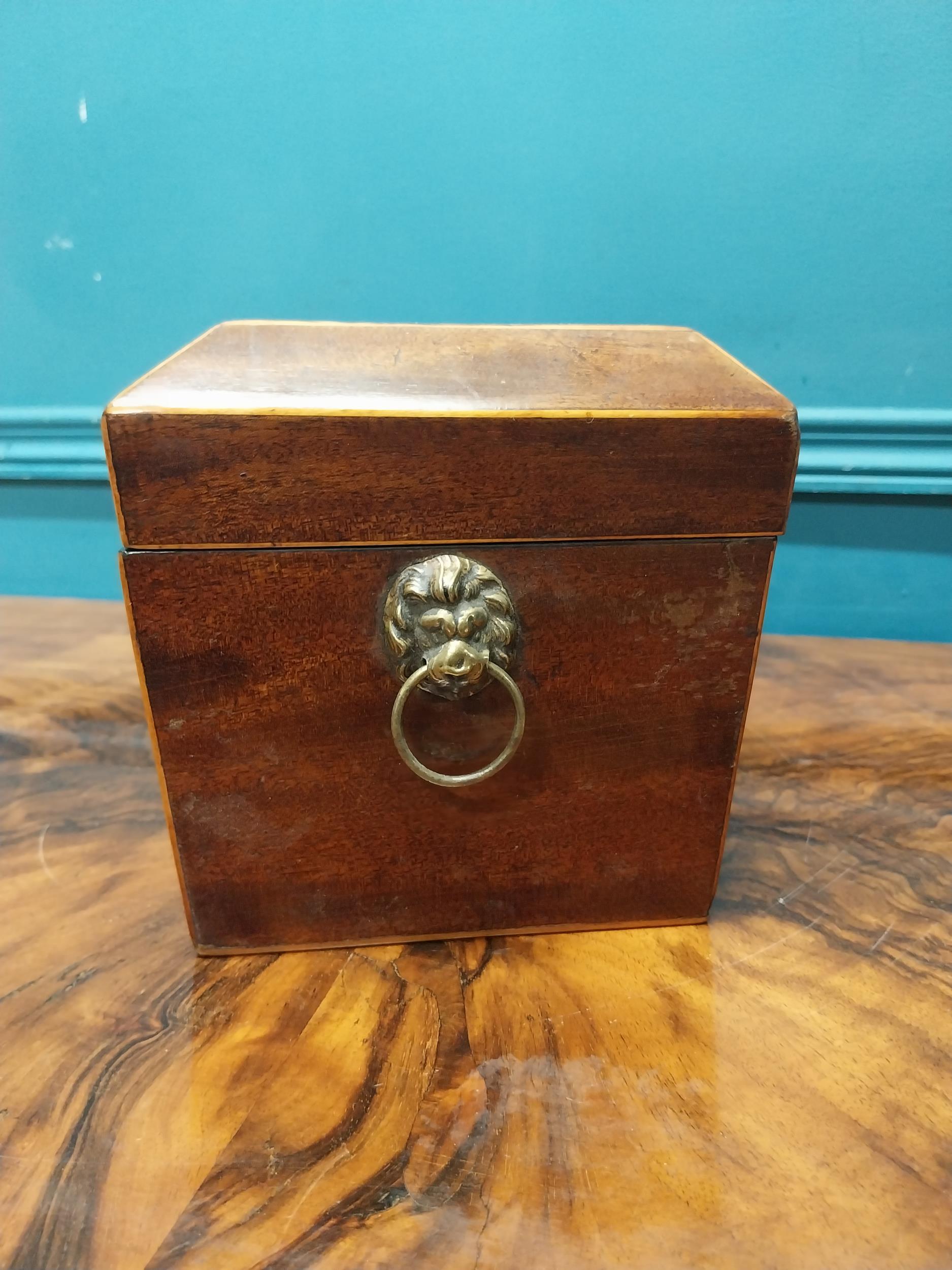 19th C. mahogany and satinwood tea caddy with lion's mask handles. {16 cm H x 31 cm W X 16 cm D}. - Image 3 of 6