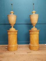 Rare pair of early 20th C. Grand Tour carved plaster urns on pedestals. {160 cm H x 38 cm Dia.}