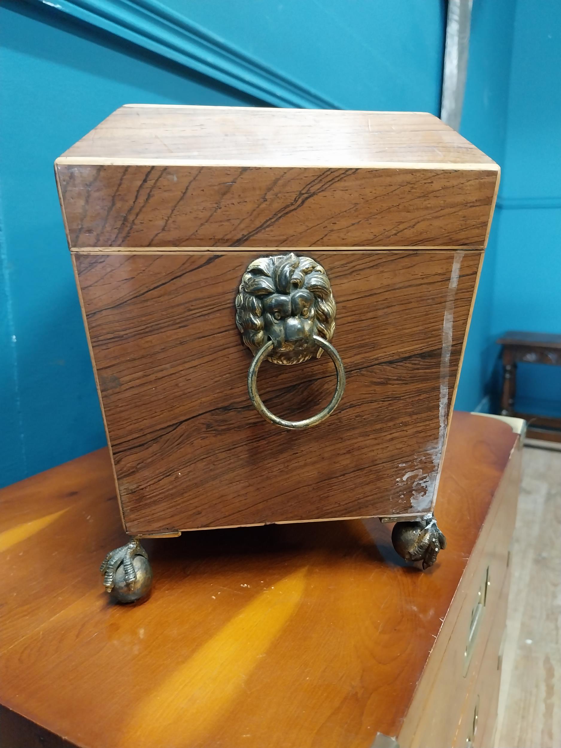 Regency rosewood tea caddy with lions mask handles raised on lions paw feet {21 cm H x 31 cm W x - Image 3 of 4