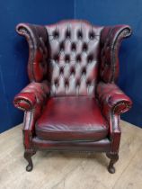 Deep buttoned leather wingback chair raised on Queen Ann legs {H 109cm x W 83cm x D 90cm }.