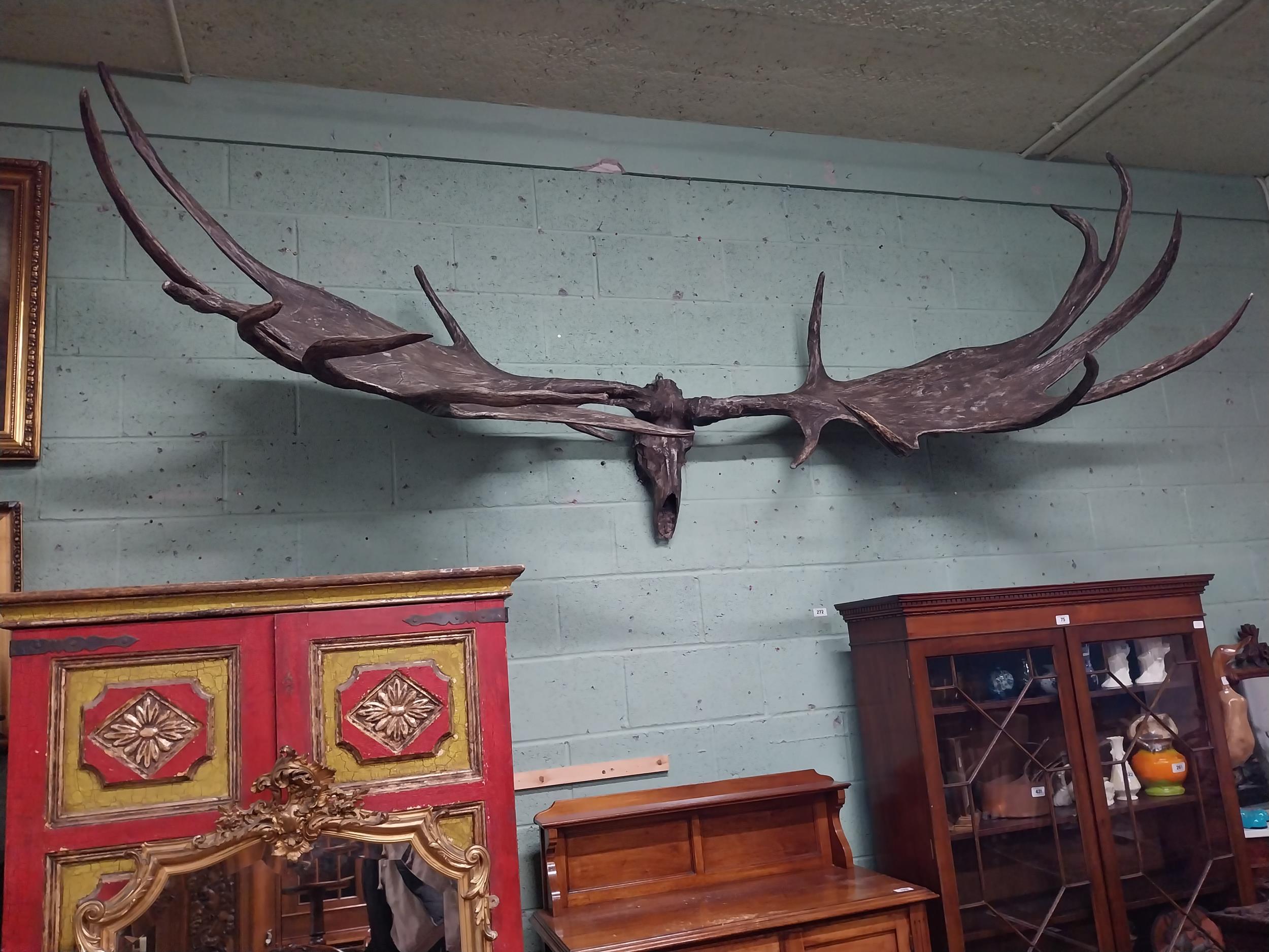 Rare resin cast of original Irish elk Antlers and skull {118 cm H x 310 cm W x 105 cm D}. - Image 15 of 16