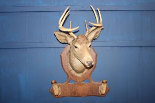 Stags head coat and hat rack {H 67cm x W 20cm x D 60cm}.