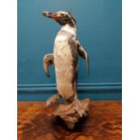 19th C. taxidermy penguin. {56 cm H x 23 cm W x 20 cm D}.