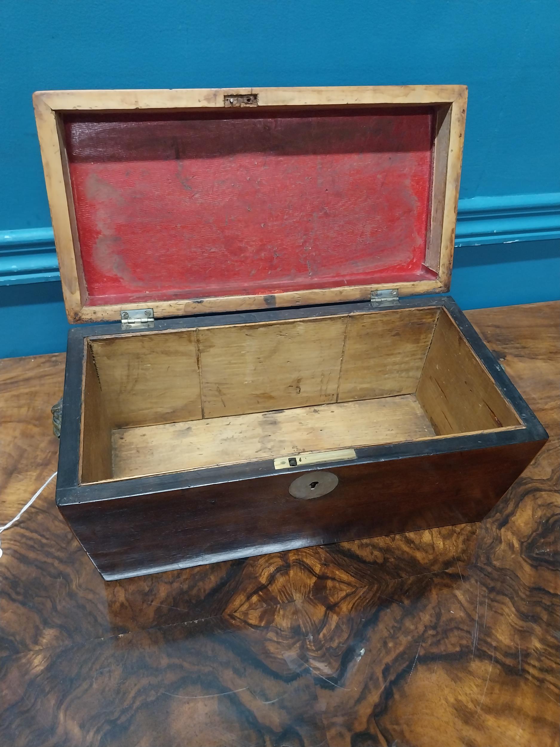 19th C. mahogany and satinwood tea caddy with lion's mask handles. {16 cm H x 31 cm W X 16 cm D}. - Image 5 of 6