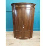 Georgian mahogany corner cupboard with curved front and fitted interior shelving and two drawers