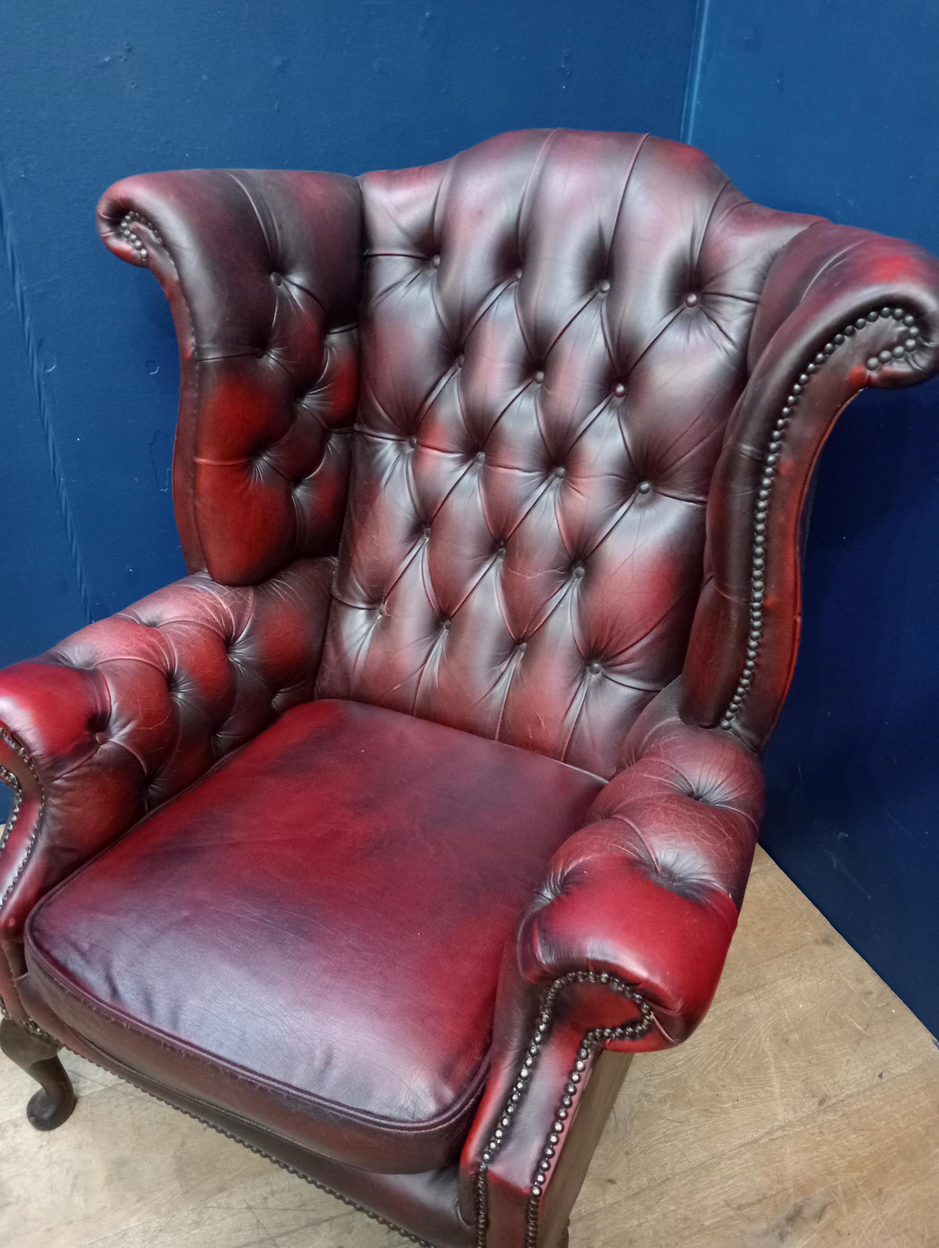 Deep buttoned leather wingback chair raised on Queen Ann legs {H 109cm x W 83cm x D 90cm }. - Image 2 of 3