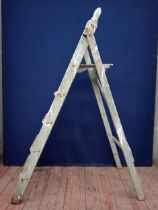 Painters step ladder {H 145cm x W 100cm x D 37cm }.