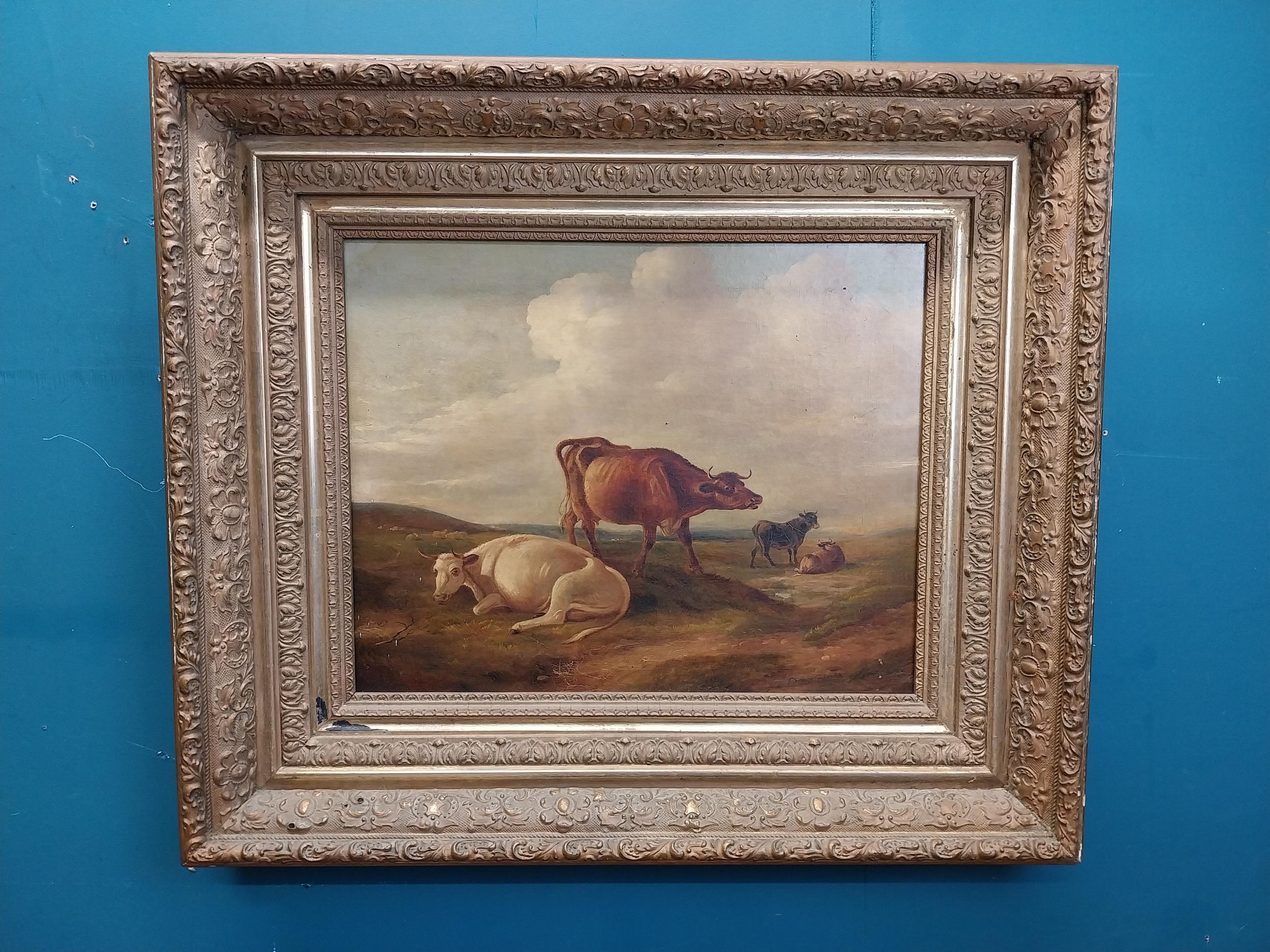 19th C. Cattle scene oil on canvas {67 cm H x 75 cm W}.