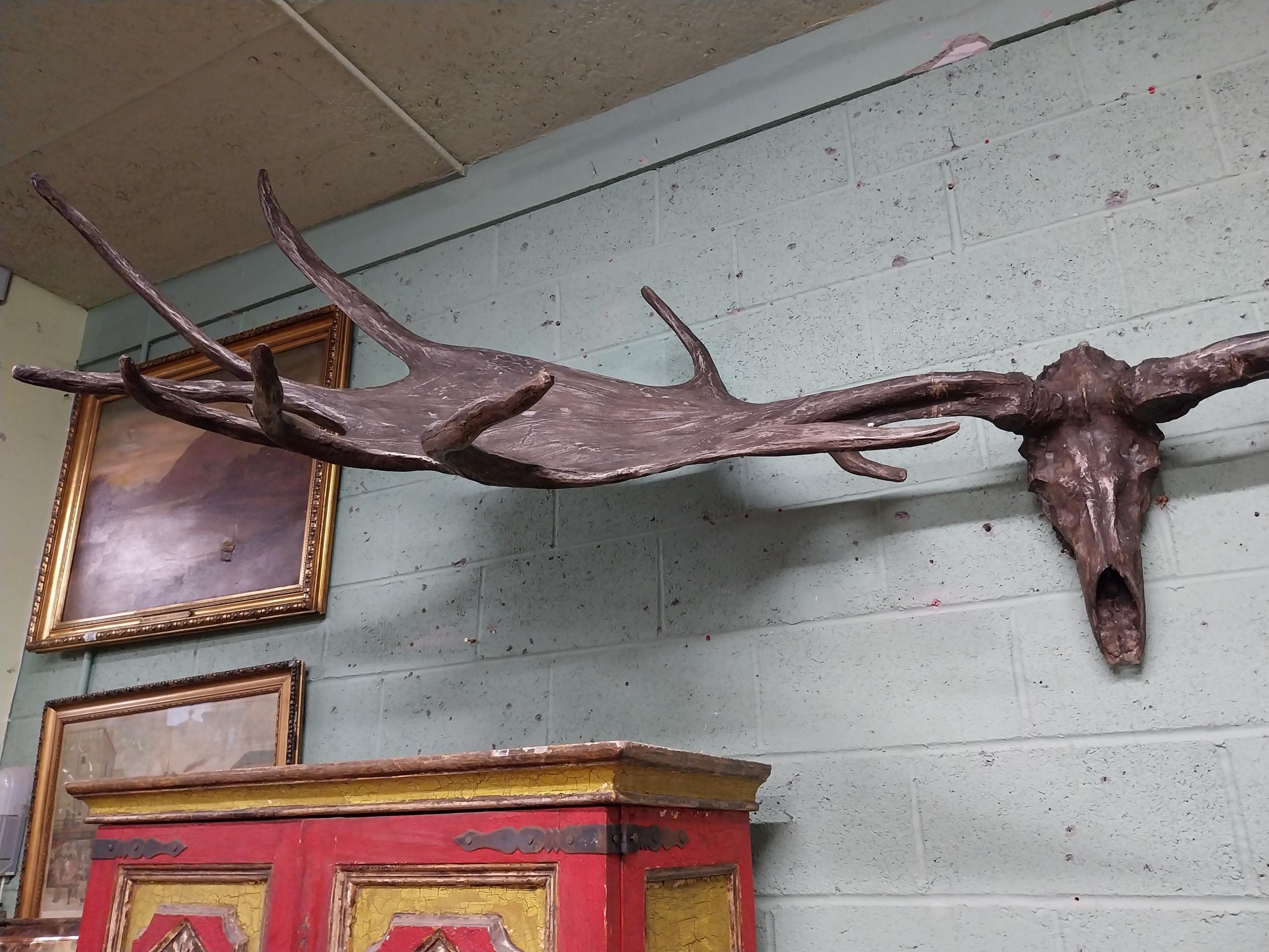 Rare resin cast of original Irish elk Antlers and skull {118 cm H x 310 cm W x 105 cm D}. - Image 14 of 16