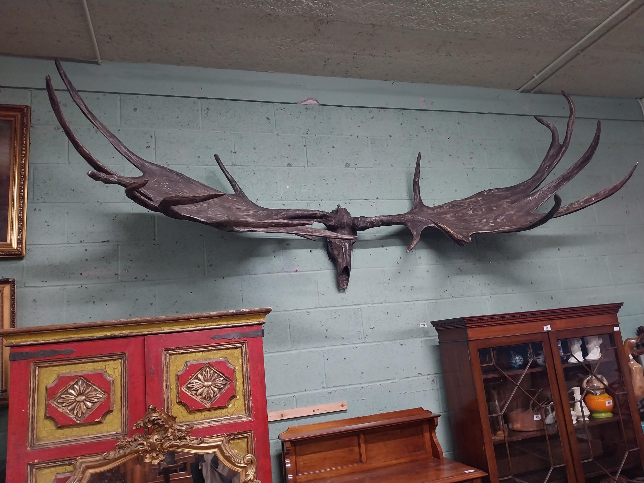 Rare resin cast of original Irish elk Antlers and skull {118 cm H x 310 cm W x 105 cm D}. - Image 16 of 16