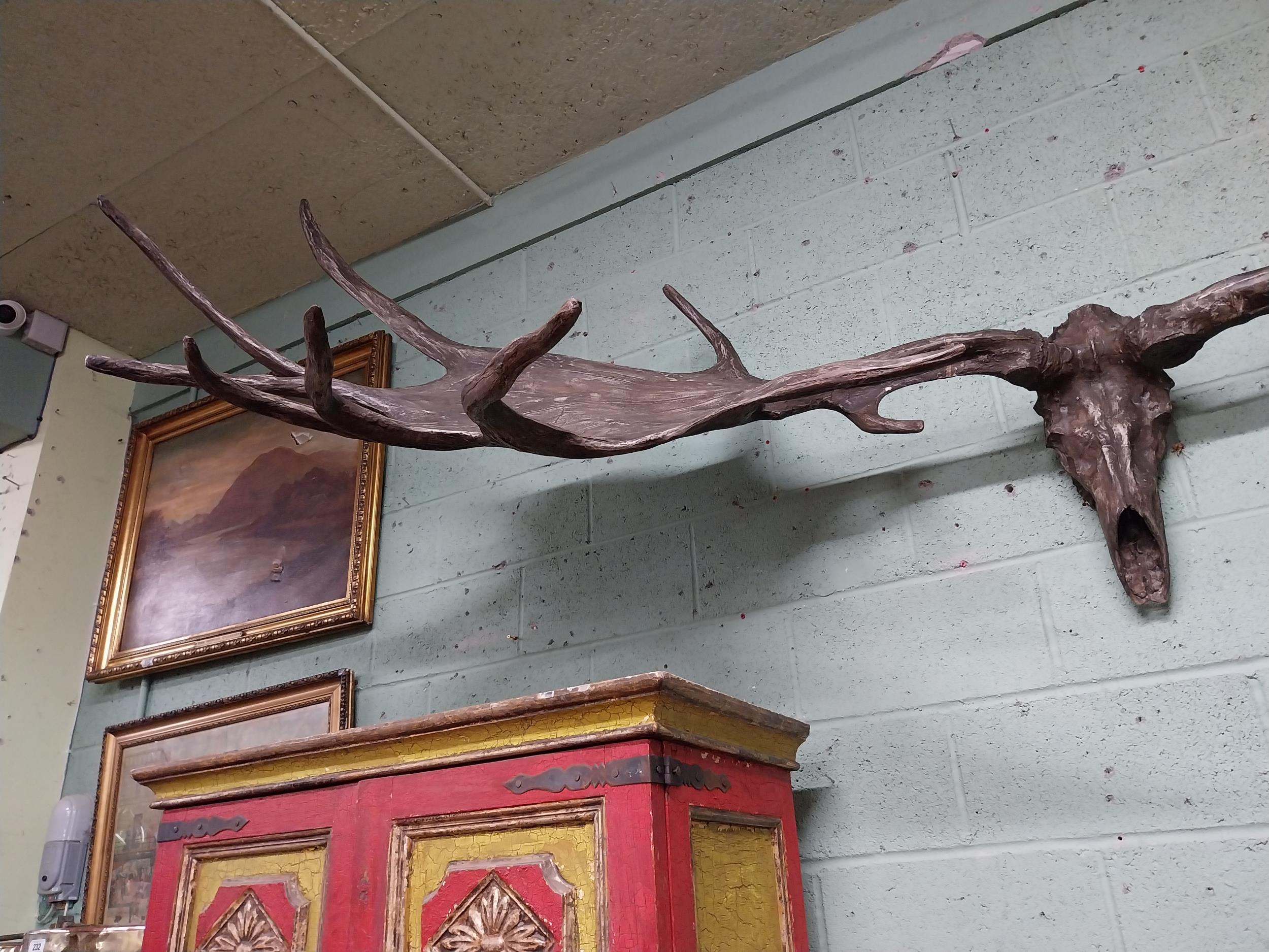 Rare resin cast of original Irish elk Antlers and skull {118 cm H x 310 cm W x 105 cm D}. - Image 13 of 16