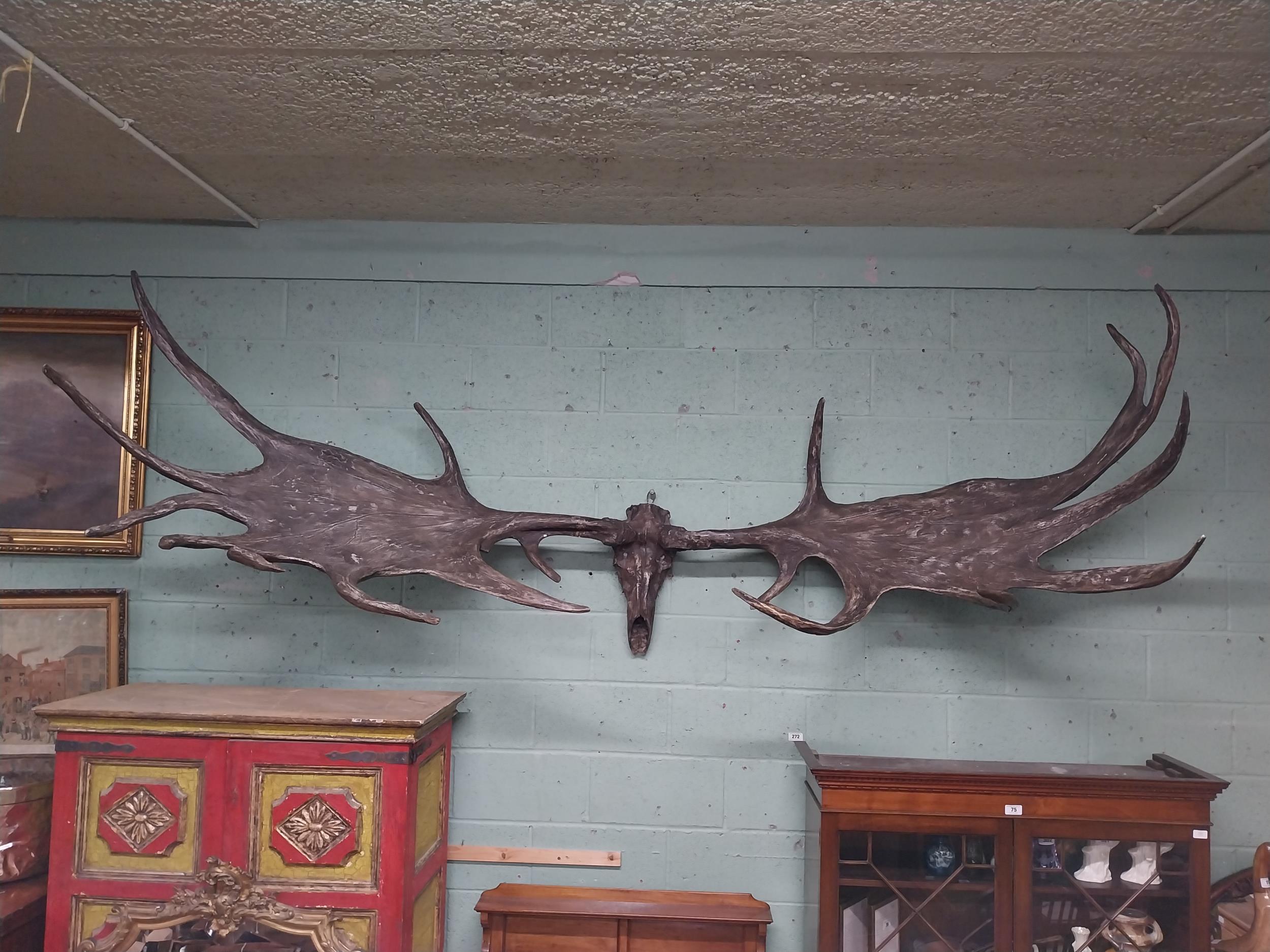 Rare resin cast of original Irish elk Antlers and skull {118 cm H x 310 cm W x 105 cm D}. - Image 2 of 16