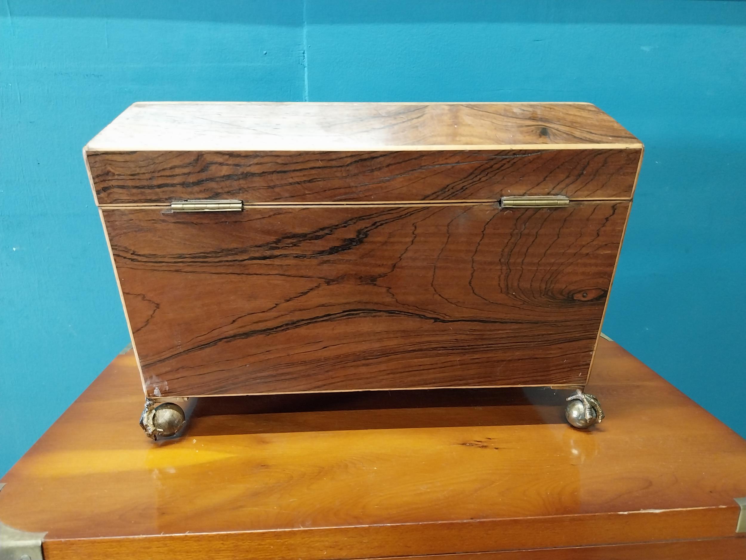 Regency rosewood tea caddy with lions mask handles raised on lions paw feet {21 cm H x 31 cm W x - Image 4 of 4