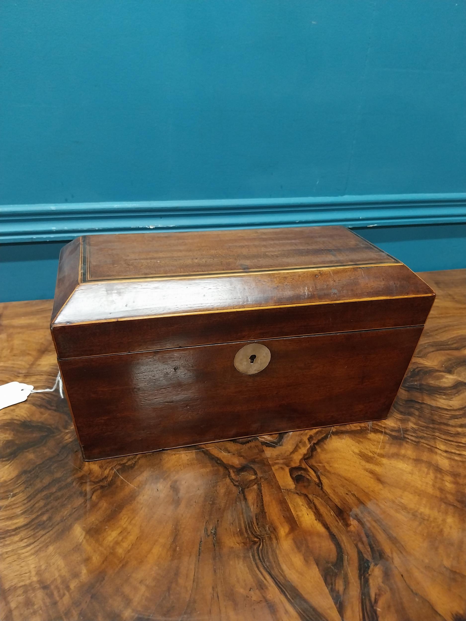 19th C. mahogany and satinwood tea caddy with lion's mask handles. {16 cm H x 31 cm W X 16 cm D}. - Image 2 of 6