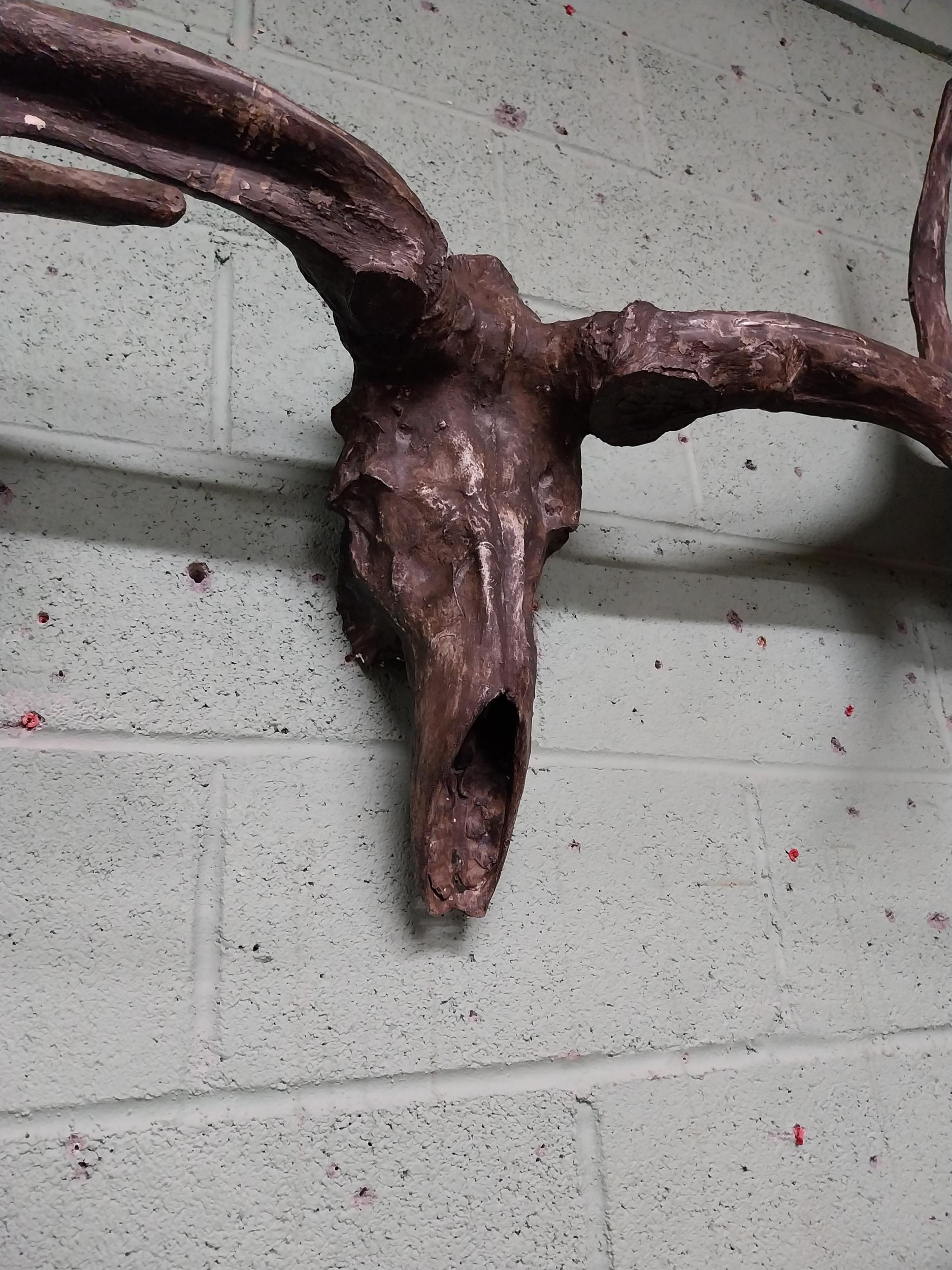 Rare resin cast of original Irish elk Antlers and skull {118 cm H x 310 cm W x 105 cm D}. - Image 9 of 16