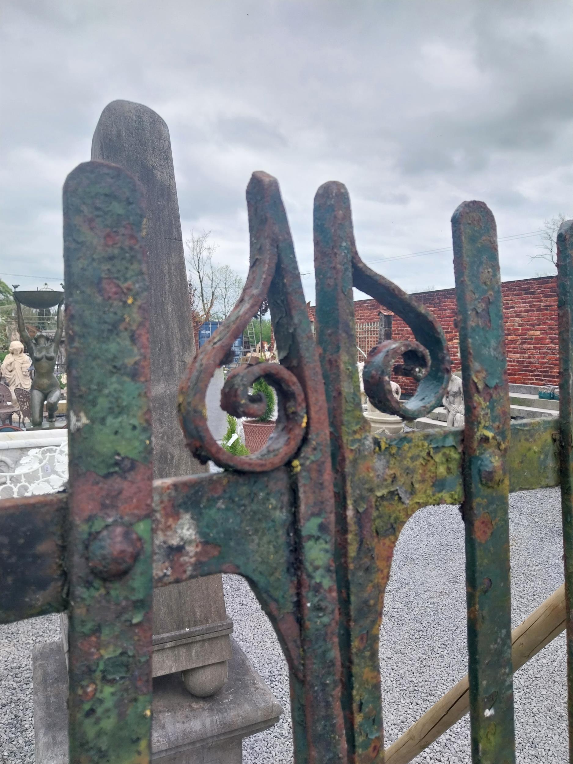 Pair of 19th C. Irish hand-forged wrought iron entrance gates {163 cm H x 244 cm W}. - Image 2 of 5