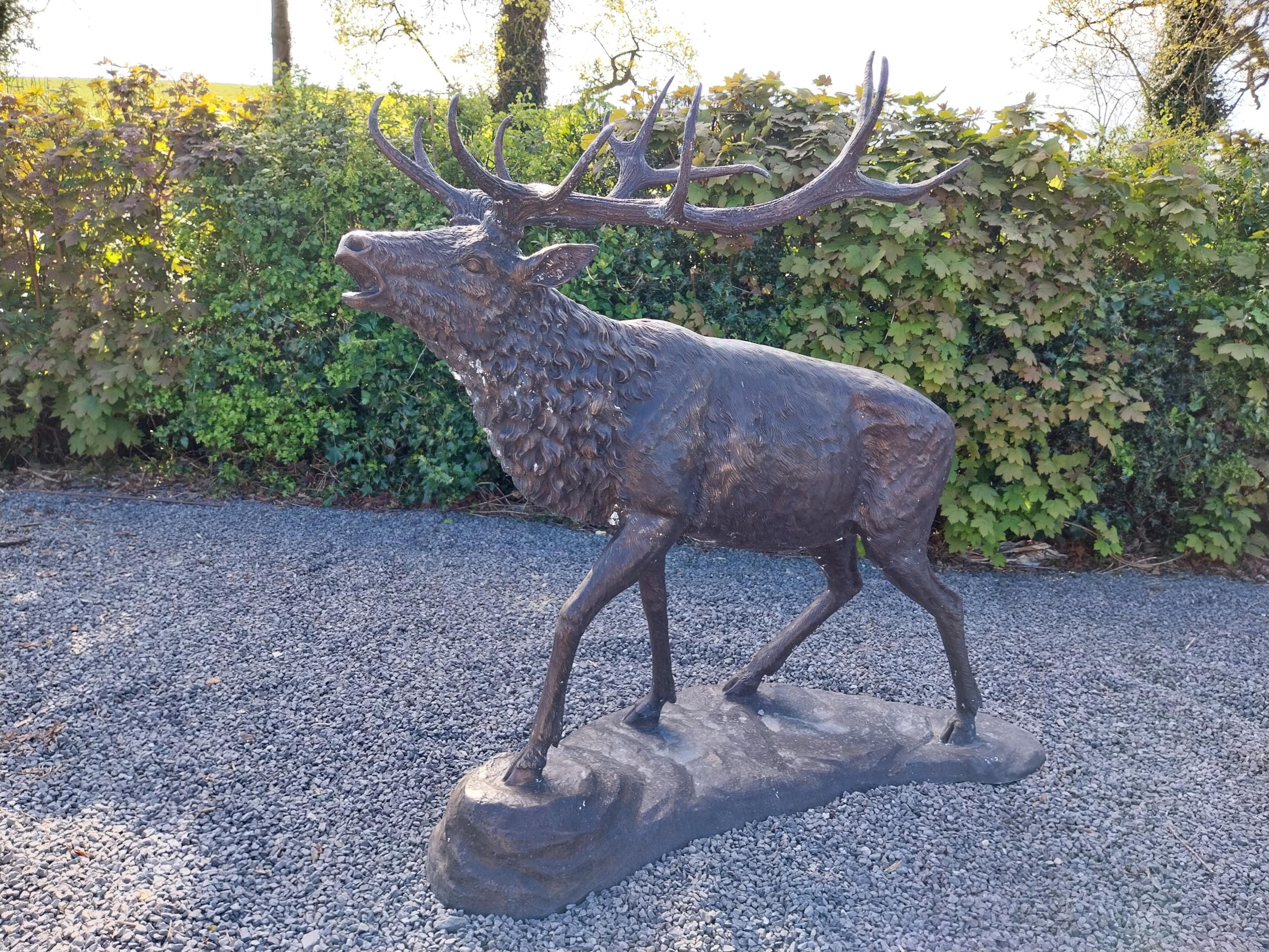 Exceptional quality bronze statue of a bellowing Stag {170 cm H x