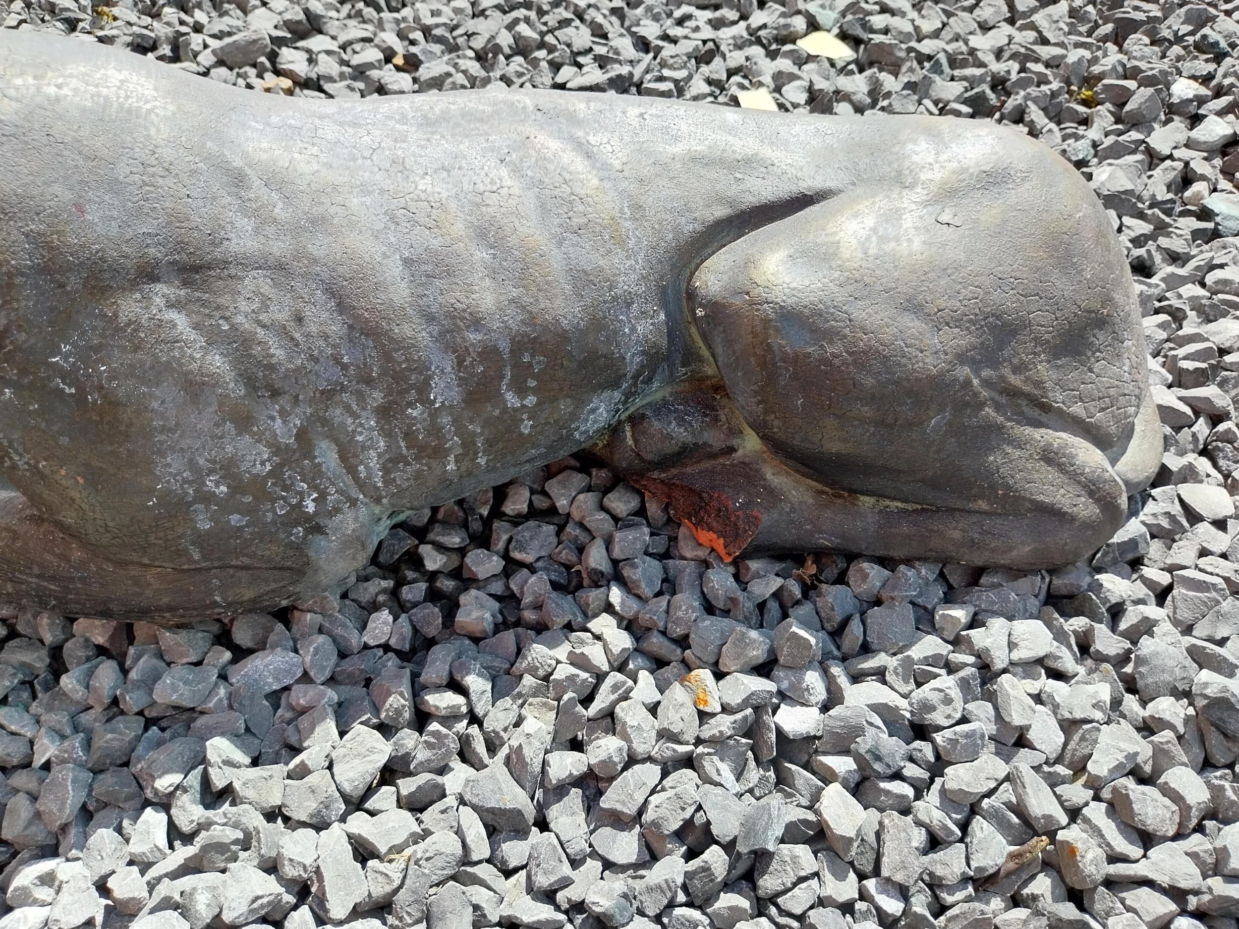 Pair of painted moulded terracotta statues of recumbent Whippets {24 cm H x 60 cm W x 19 cm D}. - Image 7 of 7