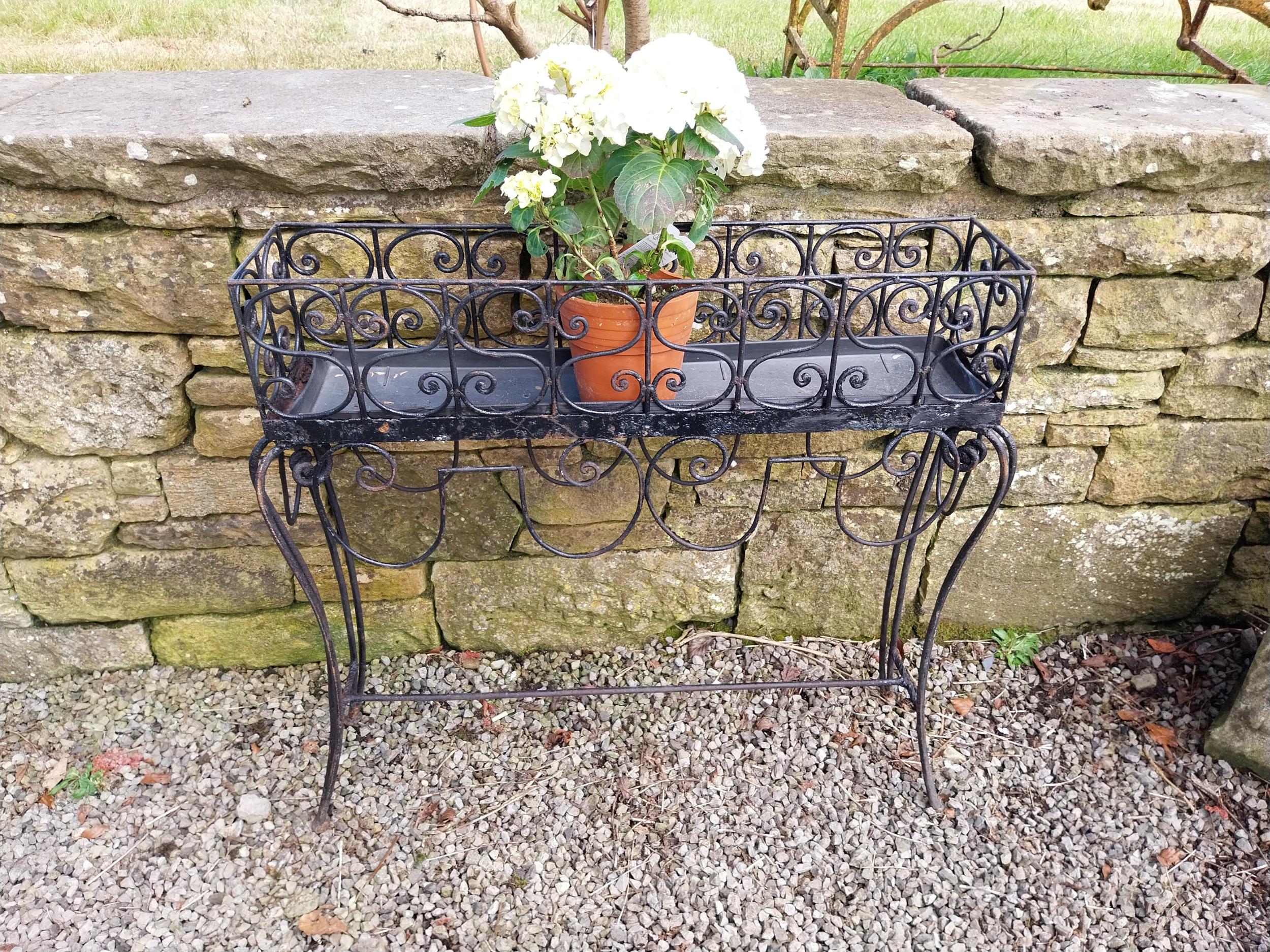 Decorative wrought iron plant stand {86 cm H x 86 cm W x 20 cm D}. - Image 4 of 5