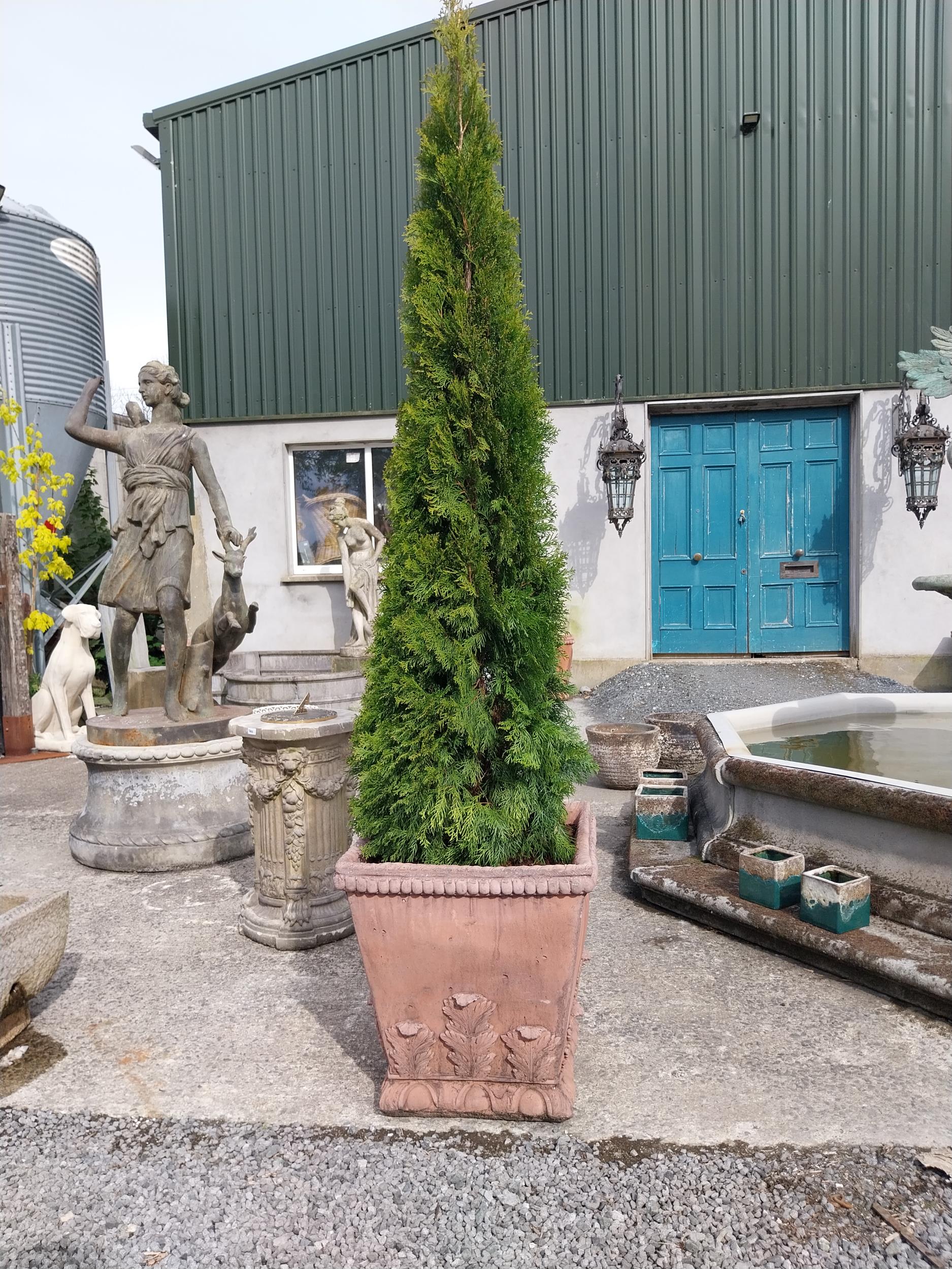 Pair of moulded terracotta urns decorated with acanthus leaf {62 cm H x 58 cm W x 58 cm D}. - Image 3 of 4