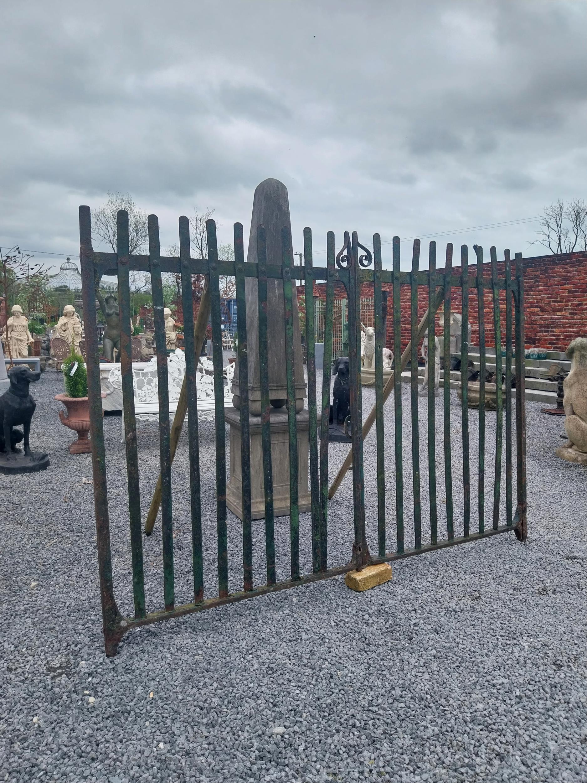 Pair of 19th C. Irish hand-forged wrought iron entrance gates {163 cm H x 244 cm W}.