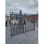 Pair of 19th C. Irish hand-forged wrought iron entrance gates {163 cm H x 244 cm W}.