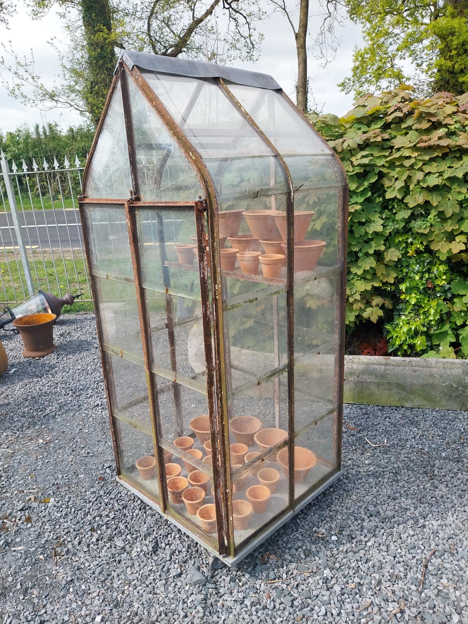 Early 20th C. French wrought iron greenhouse {174 cm H x 70 cm W x 74 cm D}. - Image 4 of 5