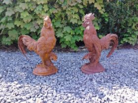 Pair of cast iron statues of Roosters {43 cm H x 36 cm W x 20 cm D}.