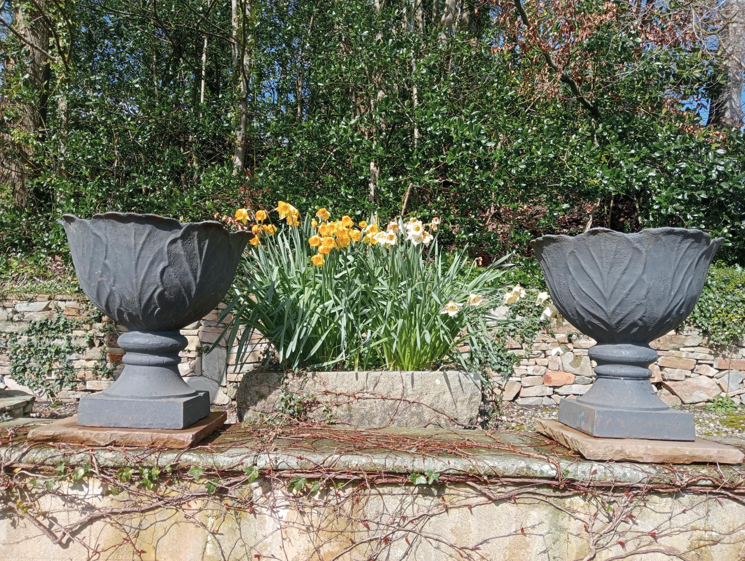 Pair of cast iron urns raised on sandstone pedestal {H 67cm x Dia 60cm }. (NOT AVAILABLE TO VIEW