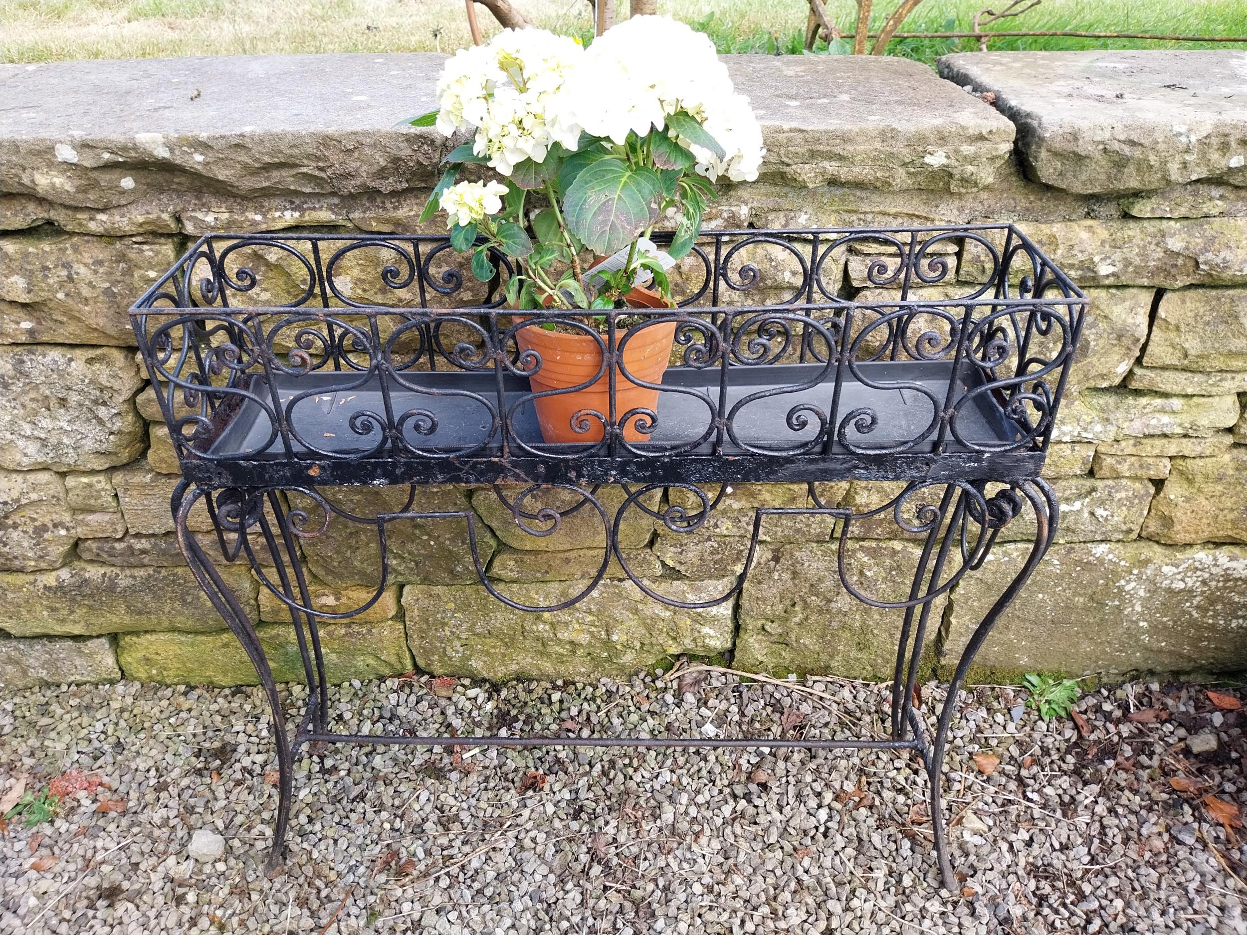 Decorative wrought iron plant stand {86 cm H x 86 cm W x 20 cm D}.