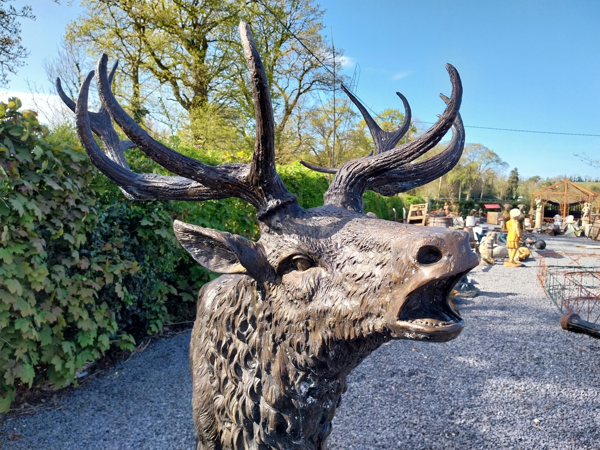 Exceptional quality bronze statue of a bellowing Stag {170 cm H x - Image 8 of 8