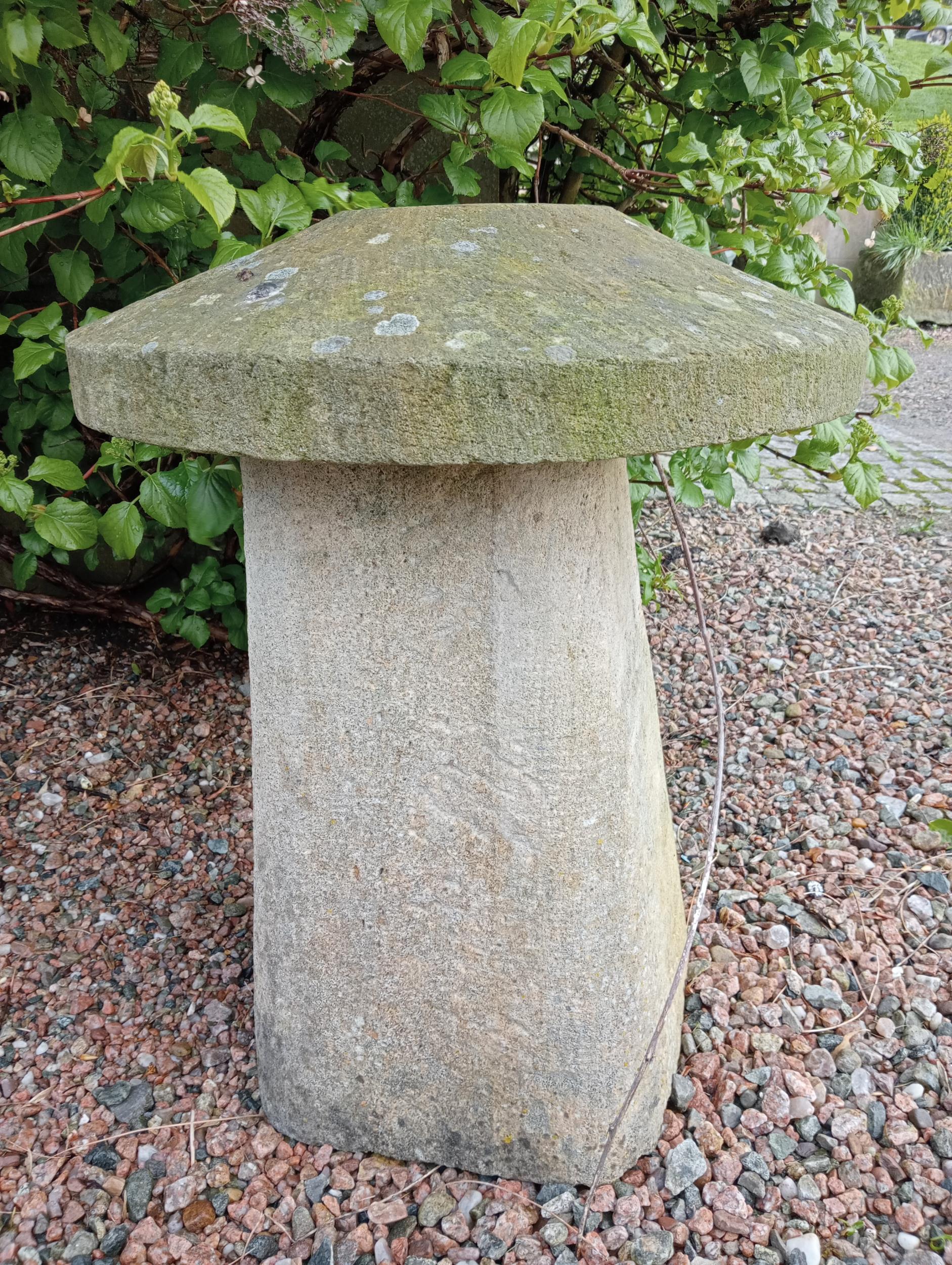 Sandstone staddle stone {H 74cm x Dia 52cm }. (NOT AVAILABLE TO VIEW IN PERSON) - Image 2 of 3