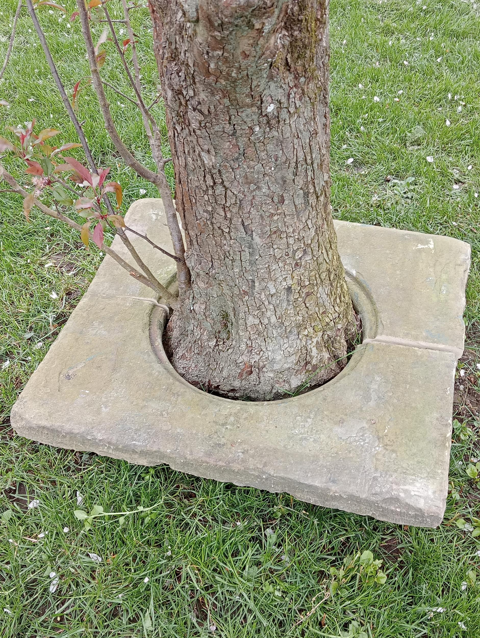 Sandstone tree surround {H 6cm x W 66cm x 62cm}. (NOT AVAILABLE TO VIEW IN PERSON)