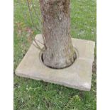 Sandstone tree surround {H 6cm x W 66cm x 62cm}. (NOT AVAILABLE TO VIEW IN PERSON)