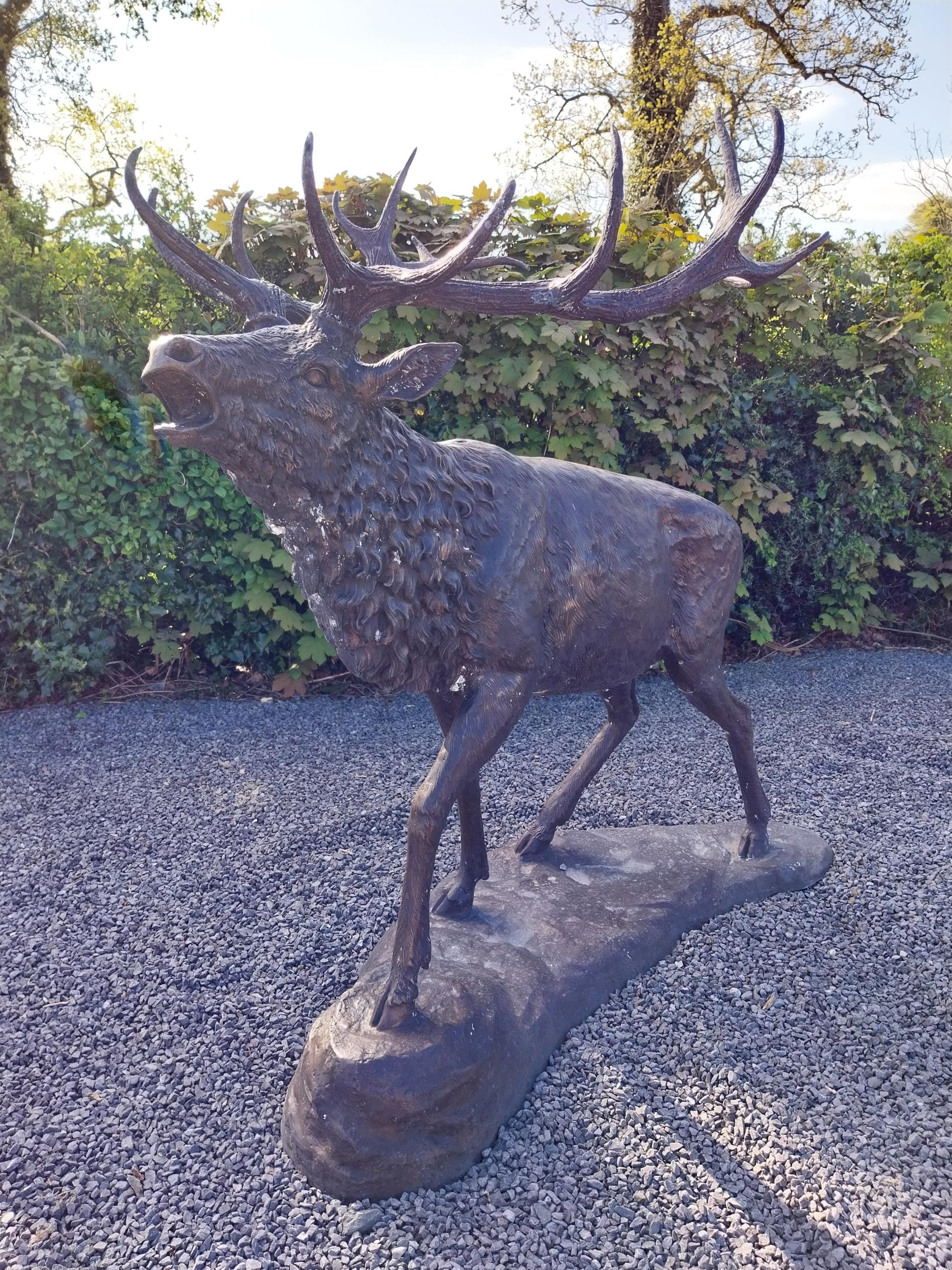Exceptional quality bronze statue of a bellowing Stag {170 cm H x - Image 5 of 8