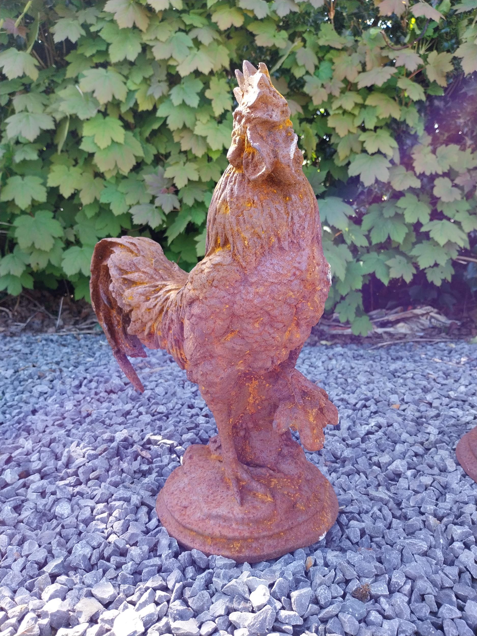 Pair of cast iron statues of Roosters {43 cm H x 36 cm W x 20 cm D}. - Image 4 of 5