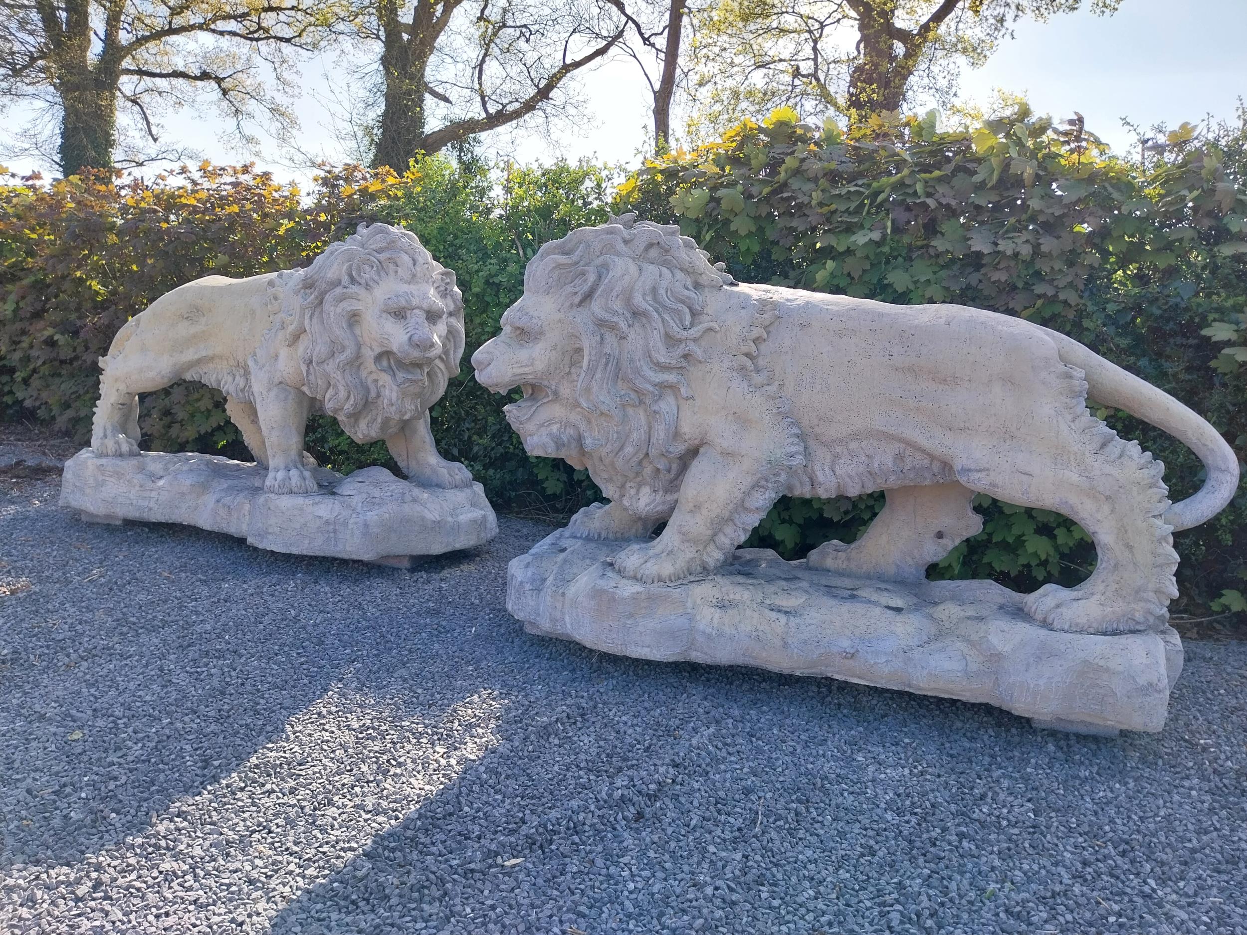 Pair of exceptional quality moulded sandstone majestic Lions {132 cm H x 210 cm W x 80 cm D}. - Image 3 of 16