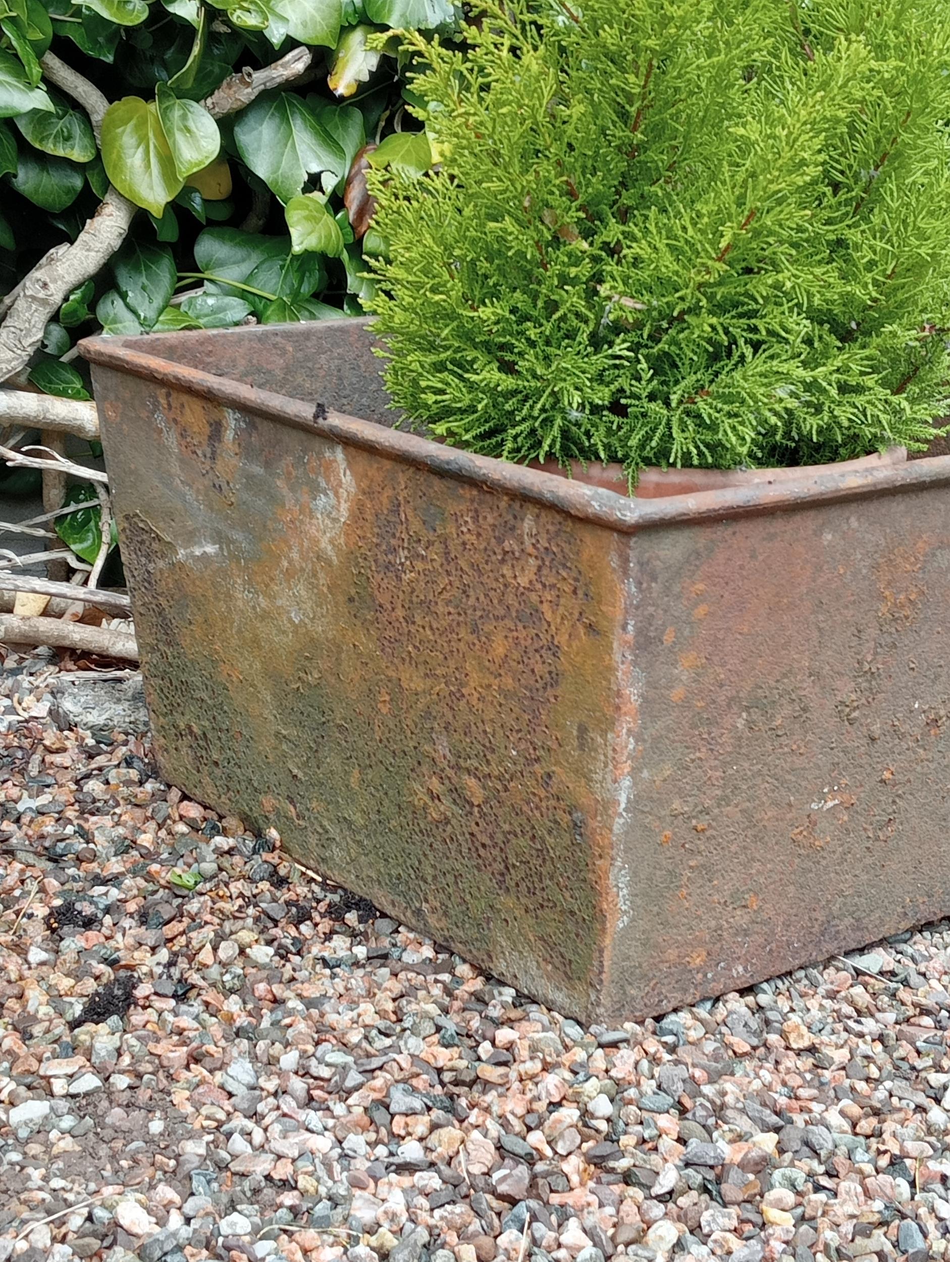 Cast iron rectangular planter {}. (NOT AVAILABLE TO VIEW IN PERSON) - Image 2 of 2
