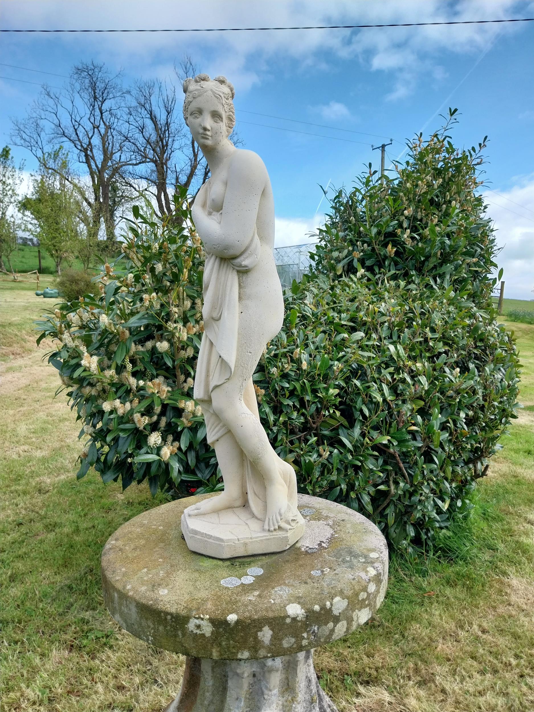 Good quality moulded stone statue of Venus {70 cm H x 20 cm W 22 cm D}. - Bild 5 aus 7