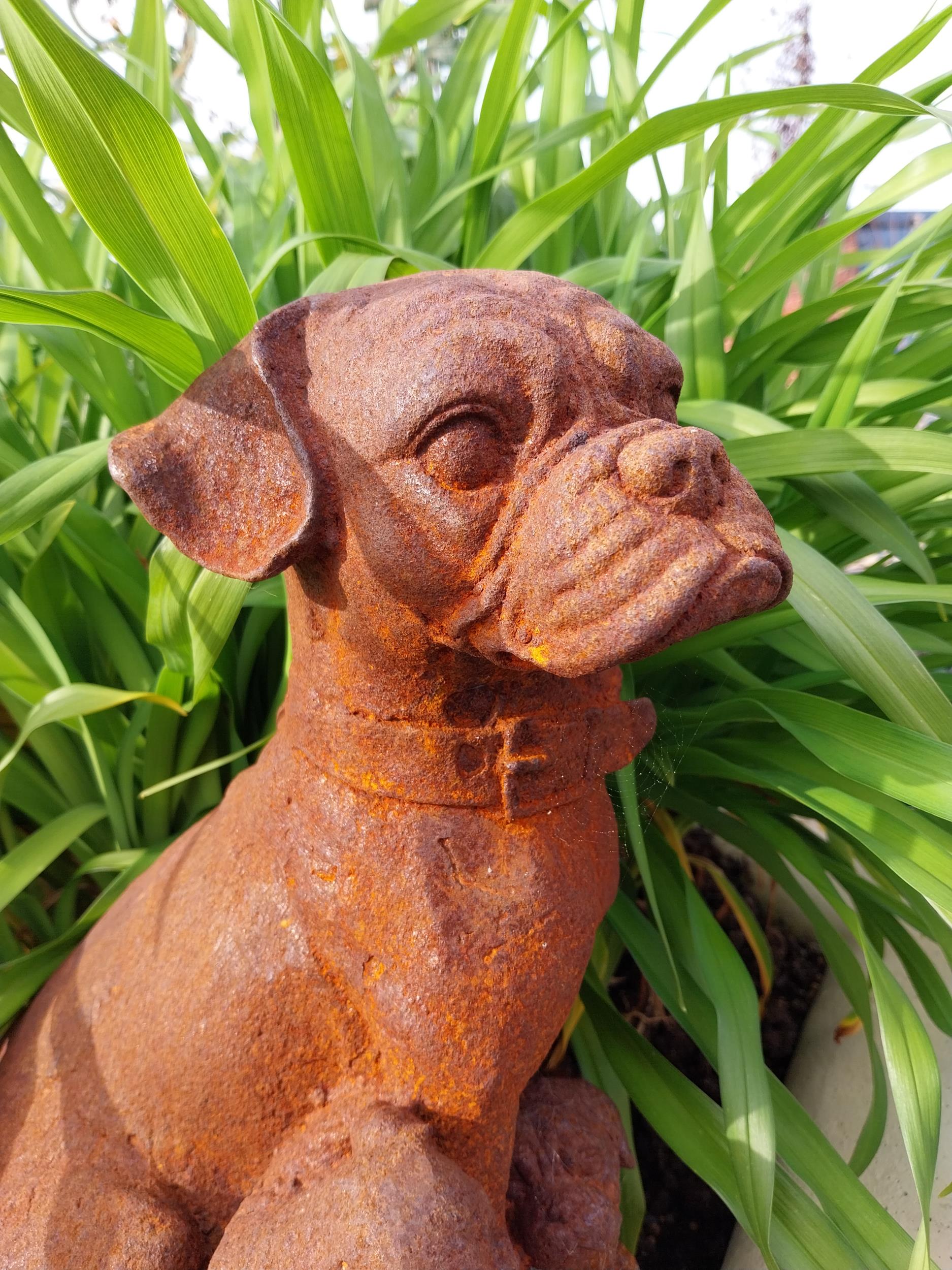 Good quality cast iron statuette of Pug and her pups {32 cm H x 24 cm W x 19 cm D}. - Bild 2 aus 4