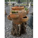 Terracotta strawberry planter {33cm H x 48cm Dia.}