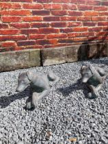 Pair of painted moulded terracotta statues of recumbent Whippets {24 cm H x 60 cm W x 19 cm D}.