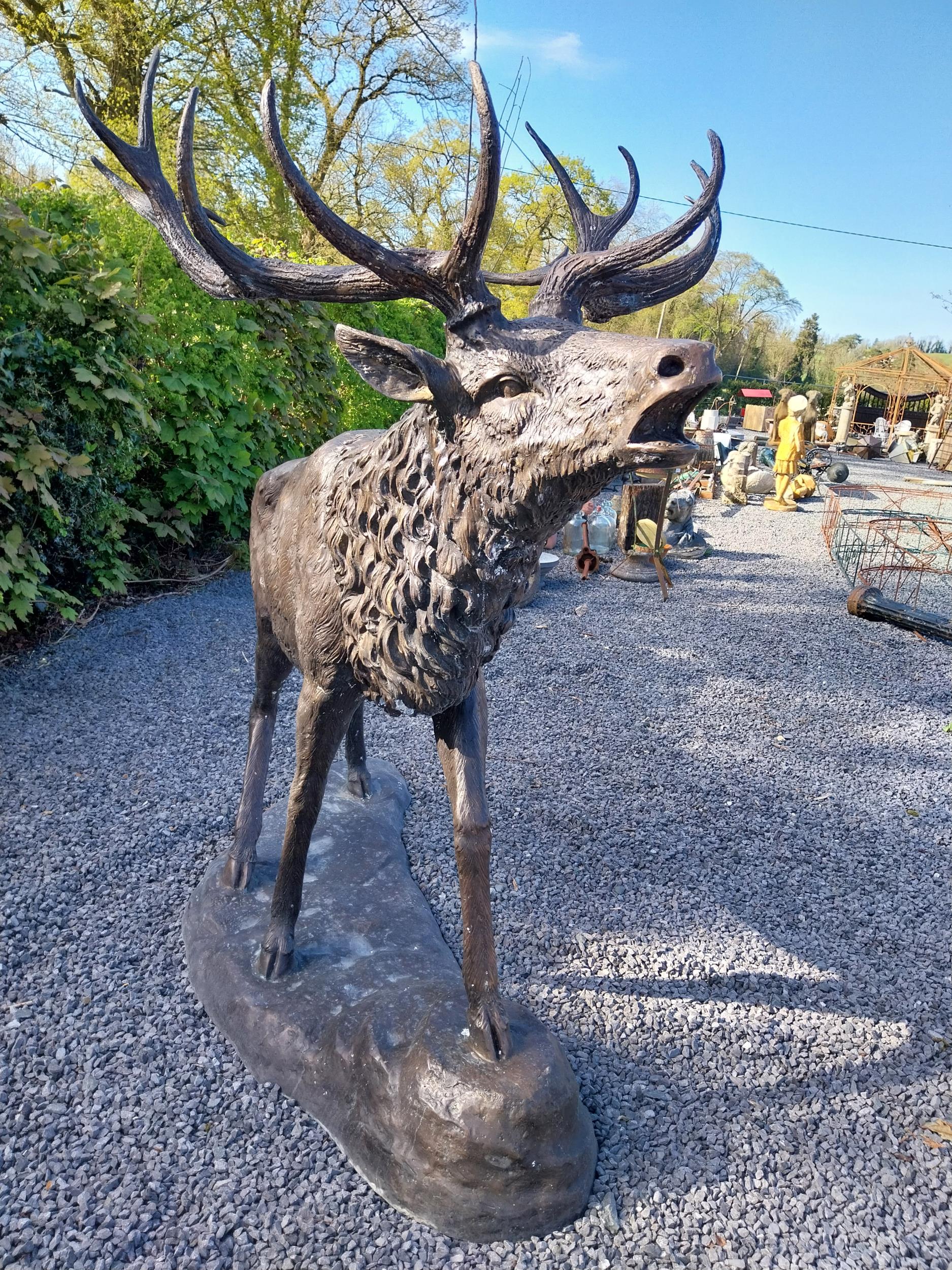 Exceptional quality bronze statue of a bellowing Stag {170 cm H x - Image 3 of 8