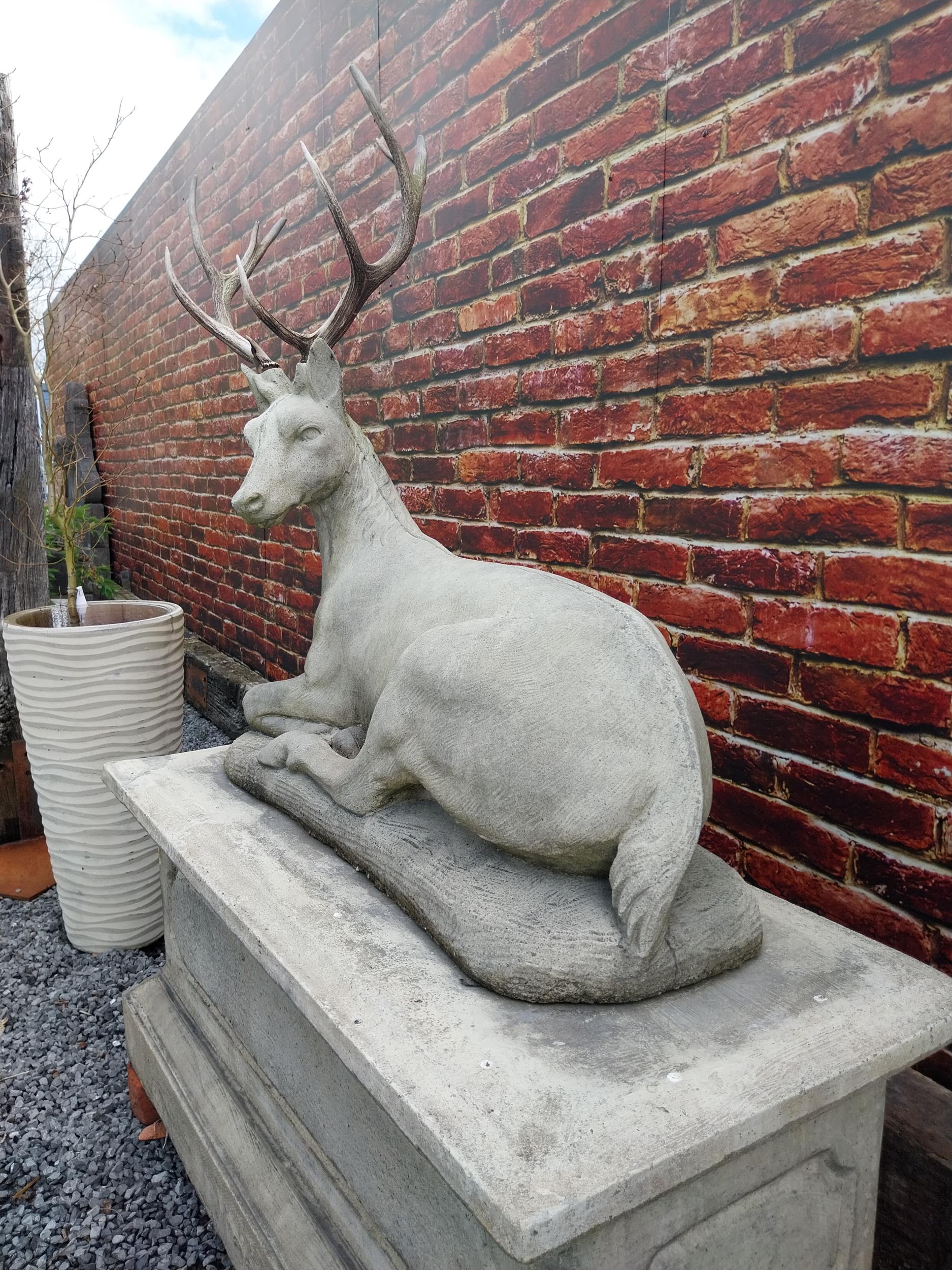 Good quality moulded stone statue of a Stag with real antlers raised on pedestal base {160 cm H x - Image 9 of 9