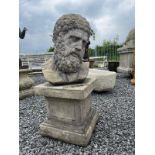 Good quality composition bust of Hercules on plinth {90cm H x 40cm W x 40cm D}
