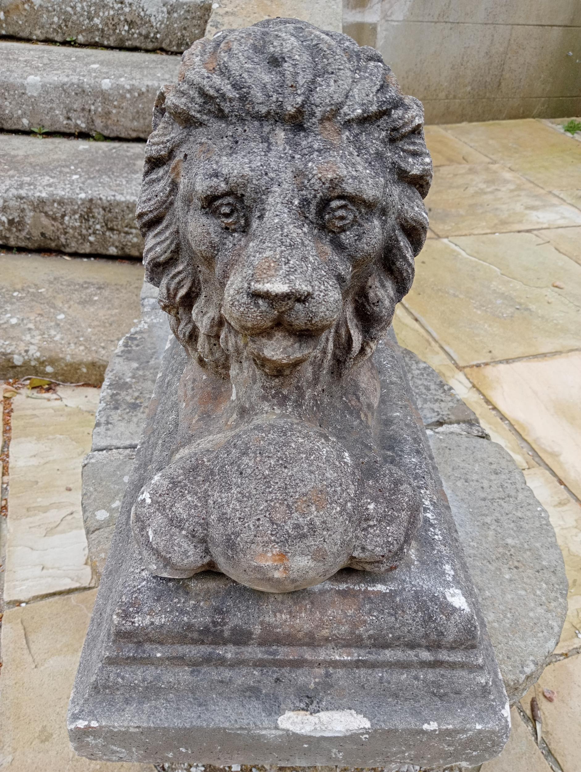 Pair of stone lions with balls at feet {H 45cm x W 28cm x D 66cm}. (NOT AVAILABLE TO VIEW IN - Bild 2 aus 5