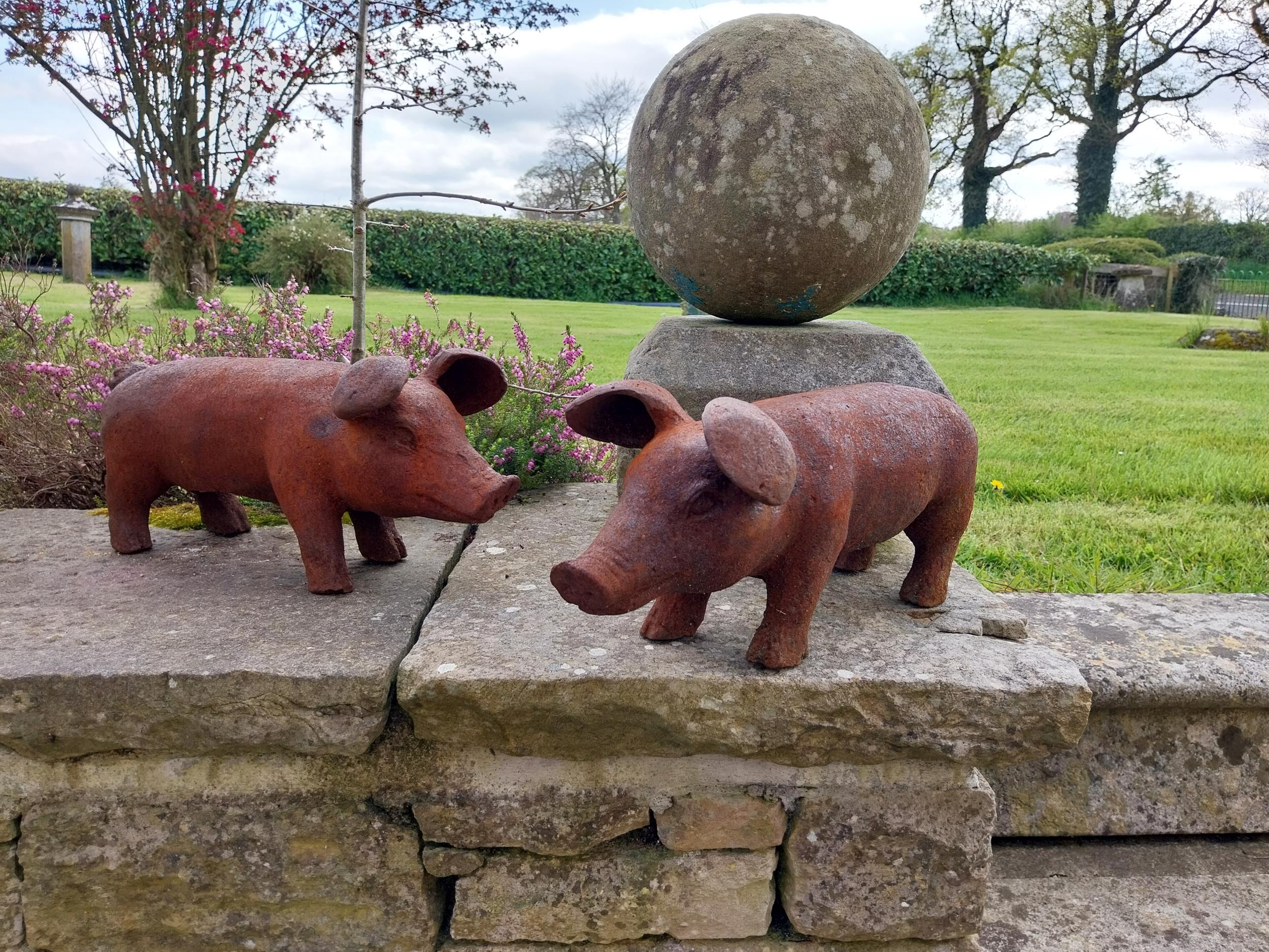 Pair of cast iron statuettes of Piglets {20 cm H x 43 cm W x 14 cm D}.